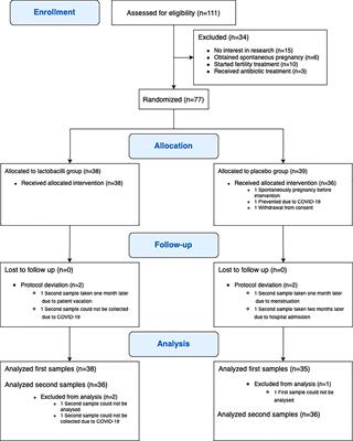 Probiotic treatment with specific lactobacilli does not improve an unfavorable vaginal microbiota prior to fertility treatment—A randomized, double-blinded, placebo-controlled trial